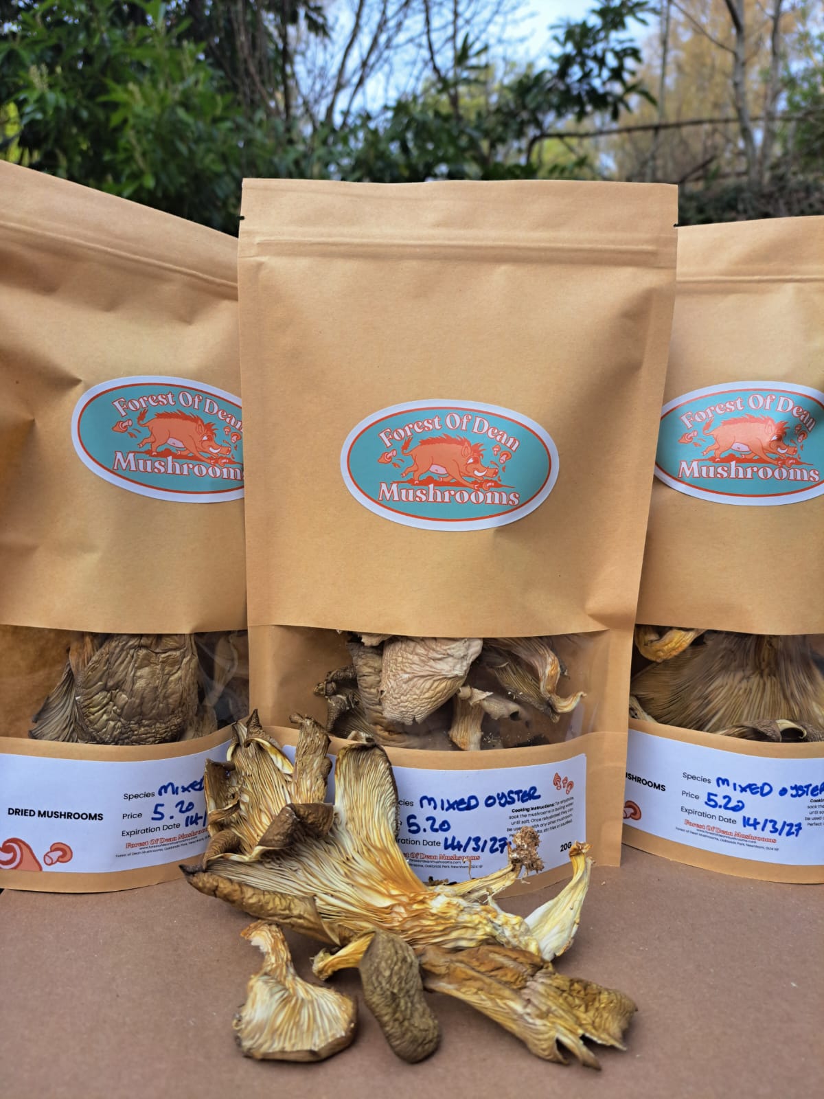 Dried Mixed Oyster Mushrooms
