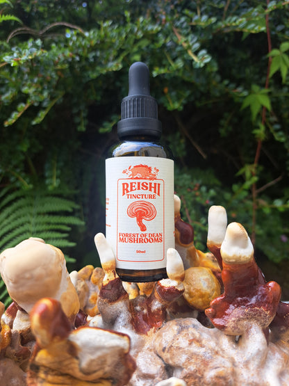 Reishi Mushroom 1:3 Dual-Extract Tincture