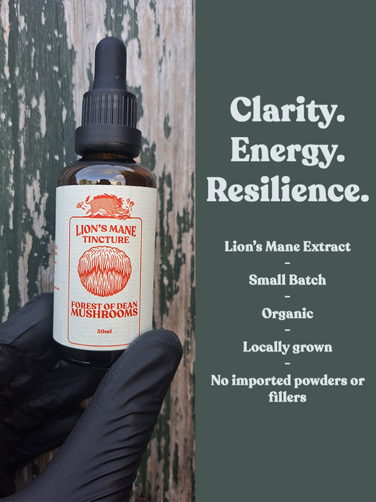 Lion's Mane 1:3 Dual-Extract Tincture