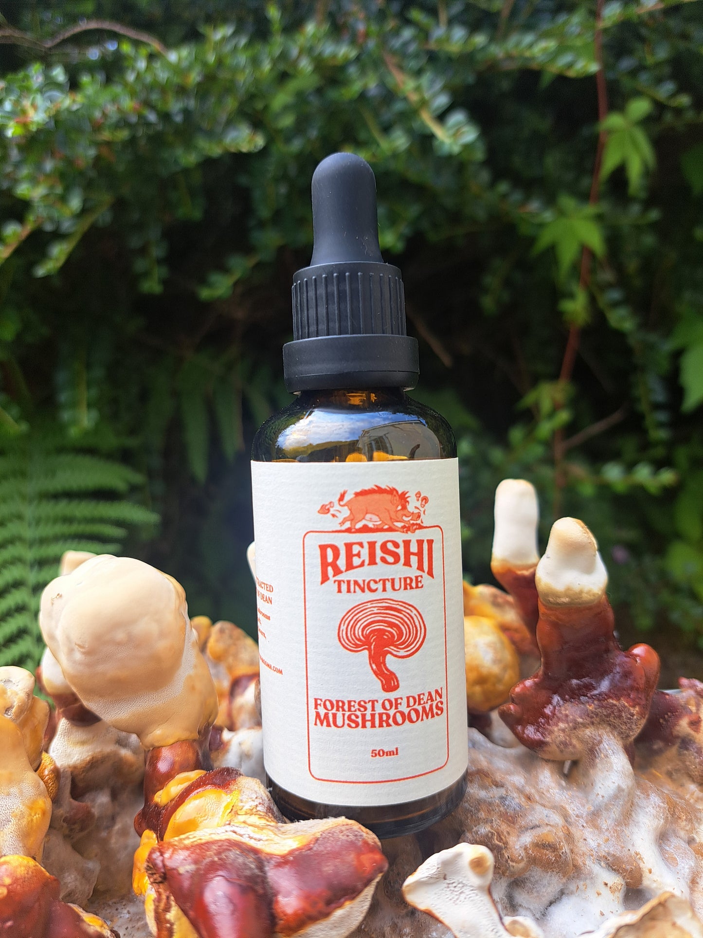 Reishi Mushroom 1:3 Dual-Extract Tincture