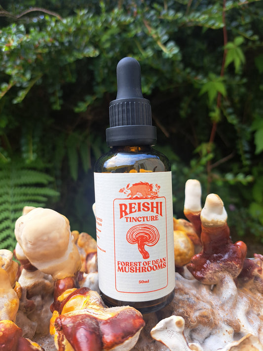 Reishi Mushroom 1:3 Dual-Extract Tincture